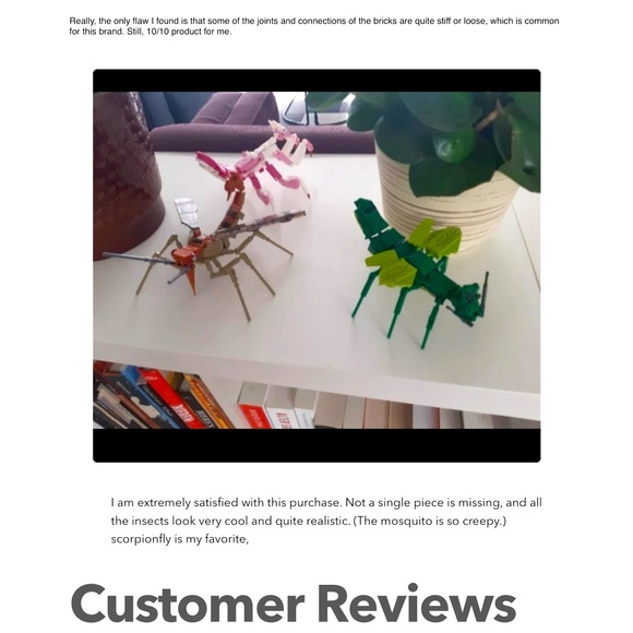 Stick Bug Insect Series Collection - Picture 3 of 5